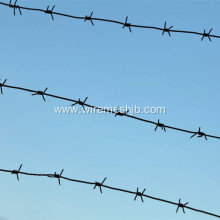 Galvanized Barbed Wire Single Strand Type